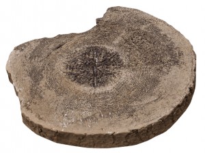 naslap-2.jpg
