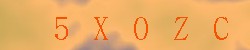 Kontrolní kód