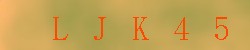 Kontrolní kód