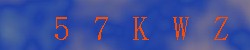 Kontrolní kód