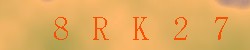 Kontrolní kód