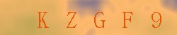 Kontrolní kód