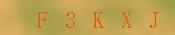 Kontrolní kód