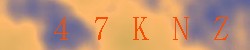 Kontrolní kód