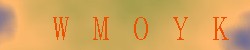 Kontrolní kód