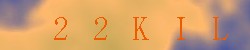 Kontrolní kód