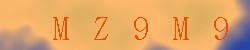 Kontrolní kód
