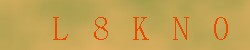 Kontrolní kód