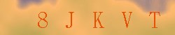 Kontrolní kód