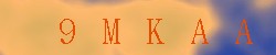Kontrolní kód