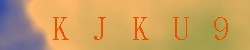Kontrolní kód