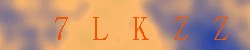 Kontrolní kód